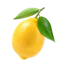 Lemon fruit with leaf isolated on white background.