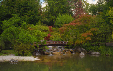 Fototapeta na wymiar Japanese park in Vienna on a summer day. Zetagaya Park is small, quiet Japanese garden with cherry trees and fish pond, open to public from April to October.