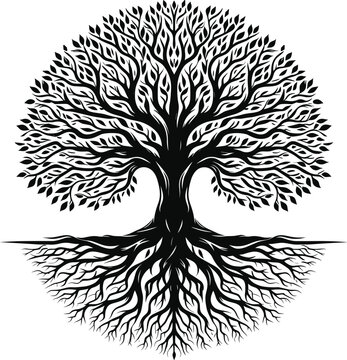 vector black tree of life icon on a white background.