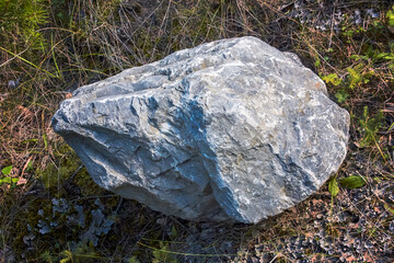 A marble limestone boulder lies against a background of grass.