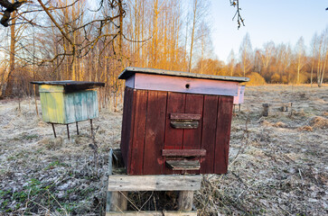 Apiary. Honey production bee farm. Beekeeping in rural. Wooden Beehives in Apiary. Collection of...