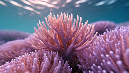 Naklejka na ściany i meble Macro closeup of beautiful natural purple corals 3D