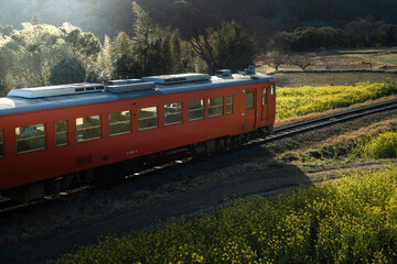 Naklejka premium 石神の菜の花畑と小湊鉄道・千葉県