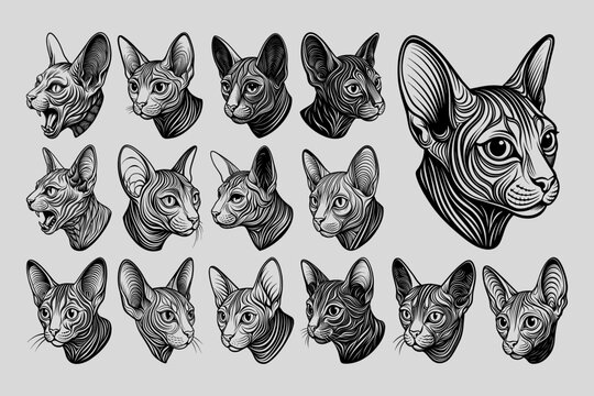 Collection of side view sphynx cat head illustration design