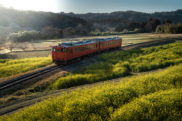 石神の菜の花畑と小湊鉄道・千葉県