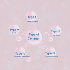 The five most common types of collagen protein, illustration