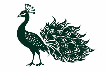 Peacock vector silhouette white background