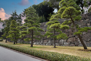 Imperial Gardens in Tokyo, Japan.