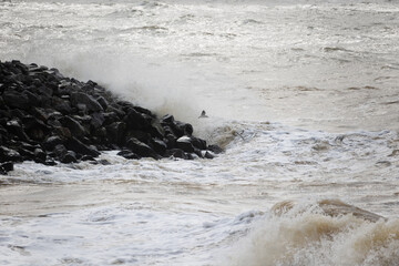 Waves crash on granite stones during a storm on the Black Sea coast. City embankment on a cloudy winter day in Odessa