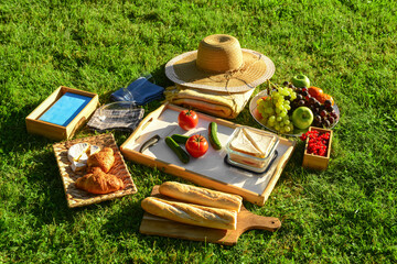 Set for romantic picnic with tasty food on green grass background