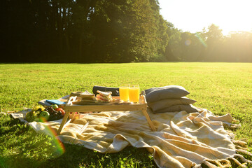 Set for romantic picnic with tasty food and glasses of juice on green grass in park