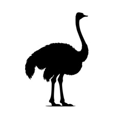 a silhouette of an ostrich on a white background