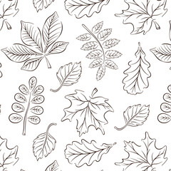 Seamless pattern with spring, autumn leaves in line art style. Great for backgrounds, cards, wrapping paper, decor. Vector illustration on a white background.