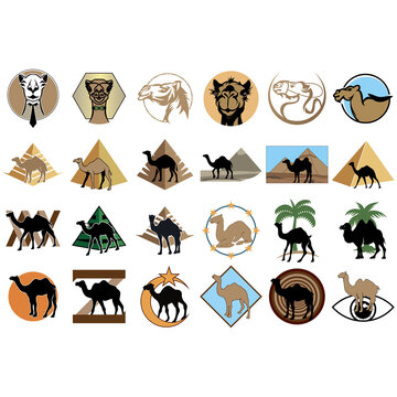  collection of camel logos
