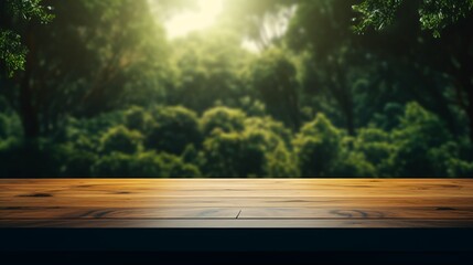 sun rays in the forest