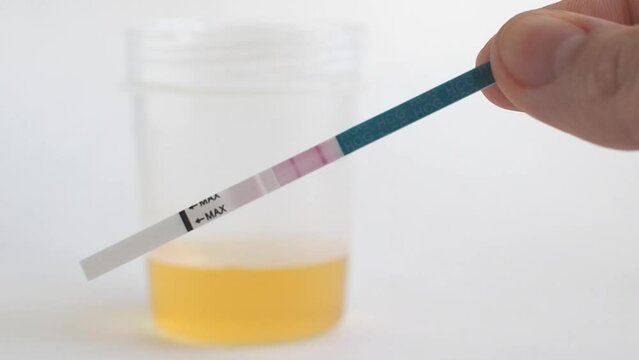 Pregnancy test in action. Two lines mean pregnant. Close up. 