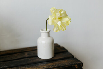 Beautiful yellow tulip on aged wooden bench on background of grey wall. Spring flower in vase rustic still life. Floral wallpaper. Happy Mothers day. Copy space