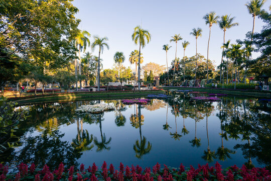 Landscape in the park, pond, and reflection in the pond, shady trees, bright flower garden Coconut trees and palm trees. It is a place to relax and feel nature in the middle of the city.