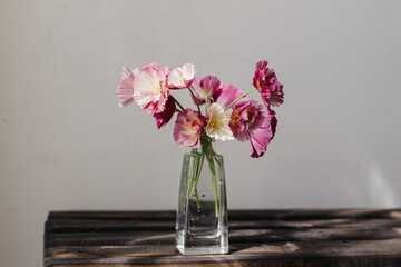 Summer flowers in vase, rustic still life. Beautiful pink california poppy on aged wooden bench....