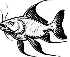 Catfish Vector Illustration