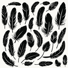 Obraz premium Collection of various black feathers in different shapes and sizes on a white background.