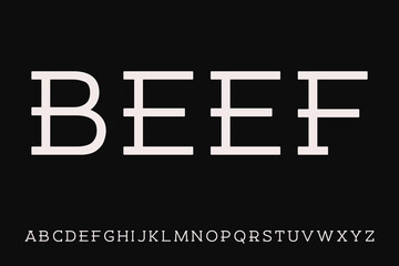 Classic design display font vector