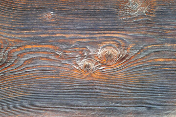 spruce plank detailed texture - 763230702