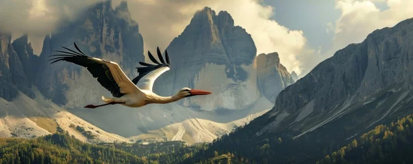 Foto op Plexiglas Stork flying over mountainous landscape © iVGraphic