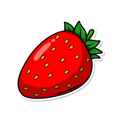 hand draw strawberry fruit illustration art

