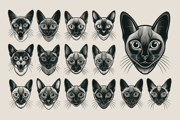 Flat detailed siamese cat head silhouette design vector set