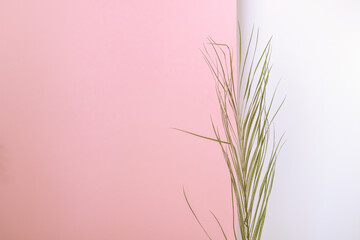 grass on white and pink background
