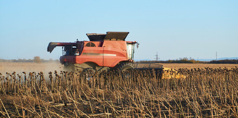 The harvester harvests sunflower seeds. Agriculture and agro-industrial complex
