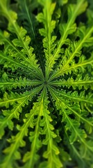 Symmetrical green fern leaf pattern