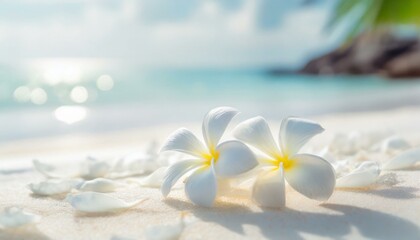 Obraz na płótnie Canvas 常夏のビーチとトロピカルな花