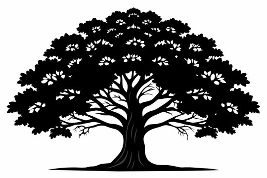 black oak trees silhouettes vector isolated on white background