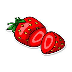 hand draw strawberry fruit illustration art