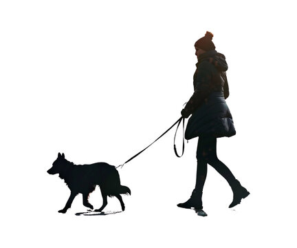 A_woman_walks_a_dog