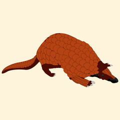 Vector illustration of a side view of a nine-banded armadillo animal against a white background.