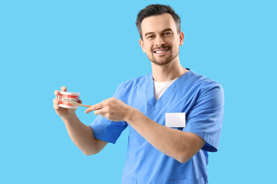 Portrait of male dentist brushing teeth of jaw model on blue background