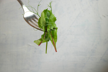 close-up of a fork with green salad, young beet leaves and pea shoots on a light textured background with space for text