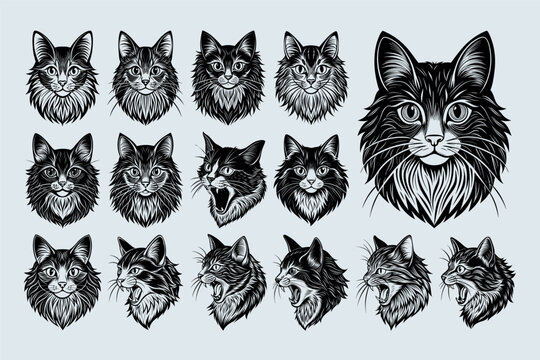 Bundle of detailed ragamuffin cat head illustration design