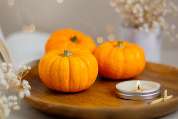 Beautiful little pumpkins and candle. Autumn, fall season concept. Cozy composition