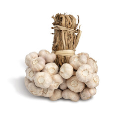 Garlic tied together  isolated on white background. This has clipping path.
