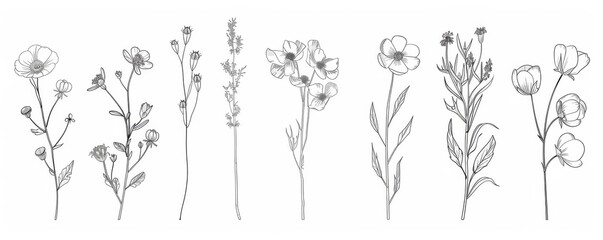 KS Floral branch and minimalist flowers for logo or tatto