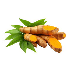 Turmeric with green leaves isolated on transparent or white background, png