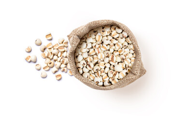 Job's tears seeds on white	