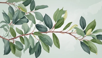 Fotobehang eucalyptus branch in watercolor style, isolated on a transparent background for design layouts © Random_Mentalist