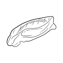 Realistic fresh big large salmon pork fillet in black isolated on white background. Hand drawn vector sketch illustration in doodle engraved vintage line art style. Butcher shop, cooking, menu, recipe