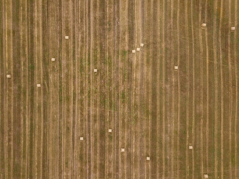 Aerial view of agricultural land with geometric patterns and serene countryside, Uglich, Yaroslavskaya oblast, Russia.
