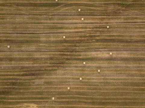 Aerial view of rural landscape with golden hay bales in autumn, Yaroslavskaya oblast, Russia.